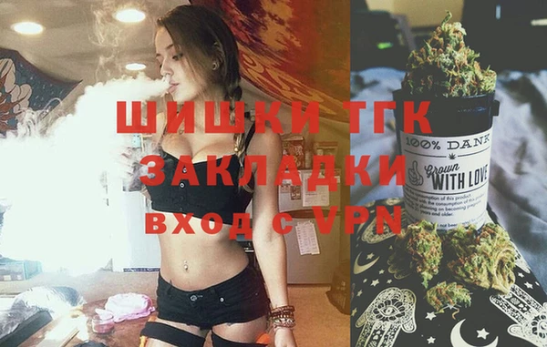 гидропоника Алзамай