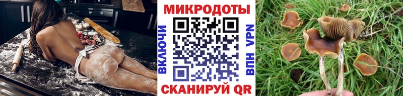 купить наркоту  Кола  Псилоцибиновые грибы Psilocybe 